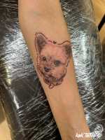 LINE_ALBUM_2025413_250413_192025kektattoo_