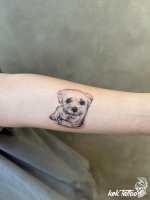 LINE_ALBUM_2025_250121_12kektattoo_